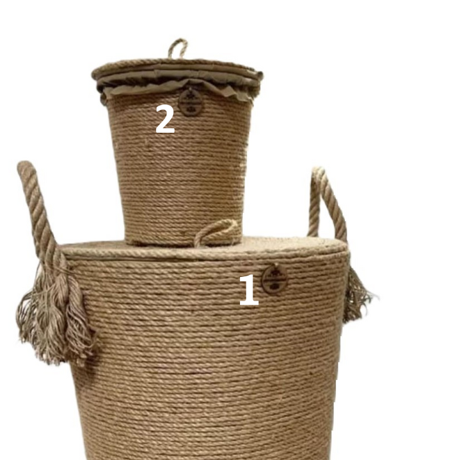 Design sans titre - 2024-08-30T151517.220